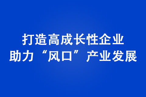 打造高成长性企业 助力“风口”产业发展