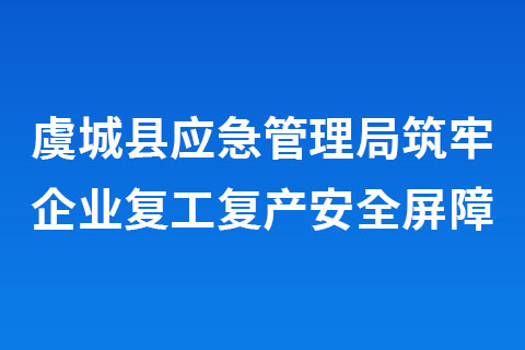 虞城县应急管理局筑牢企业复工复产安全屏障