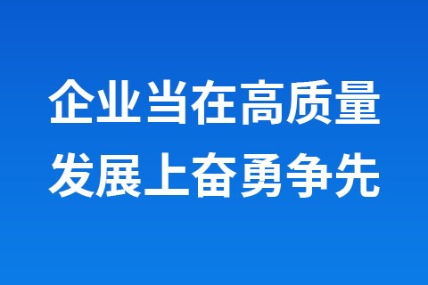 企业当在高质量发展上奋勇争先