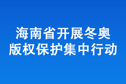 海南省开展冬奥版权保护集中行动