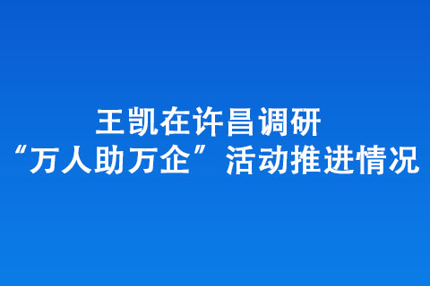 王凯在许昌调研“万人助万企”活动推进情况