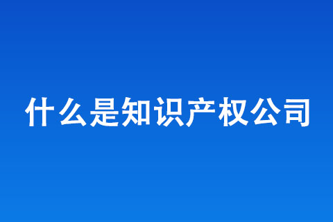 什么是知识产权公司