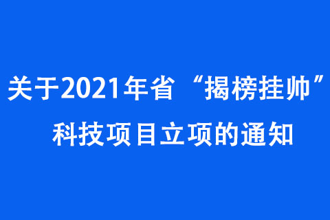 关于2021年河南省“揭榜挂帅”科技项目立项的通知