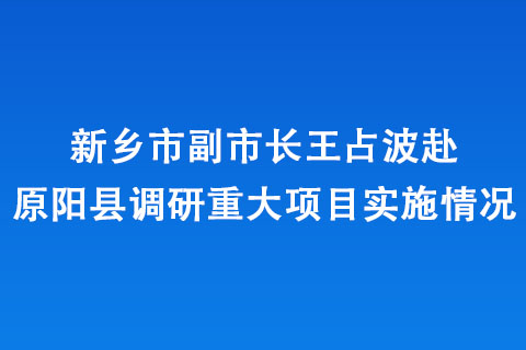新乡市副市长王占波赴原阳县调研重大项目实施情况