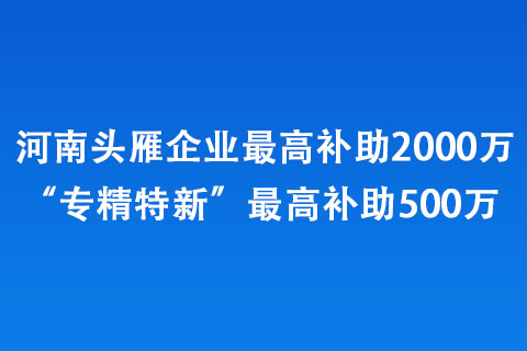 河南头雁企业更高补助2000万、“专精特新”更高补助500万 