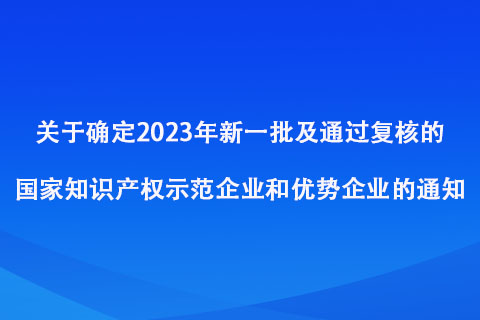 2023年新一批及通过复核的知识产权示范企业和优势企业名单